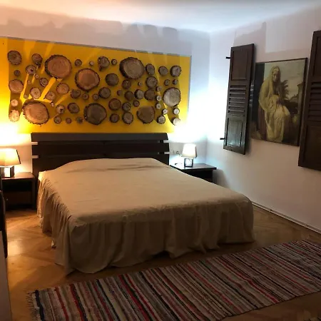 Garsoniera Centru דירה