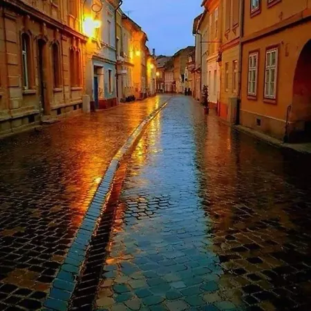 Garsoniera Centru דירה